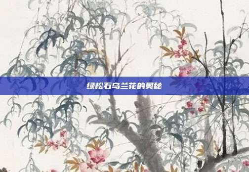 绿松石乌兰花的奥秘